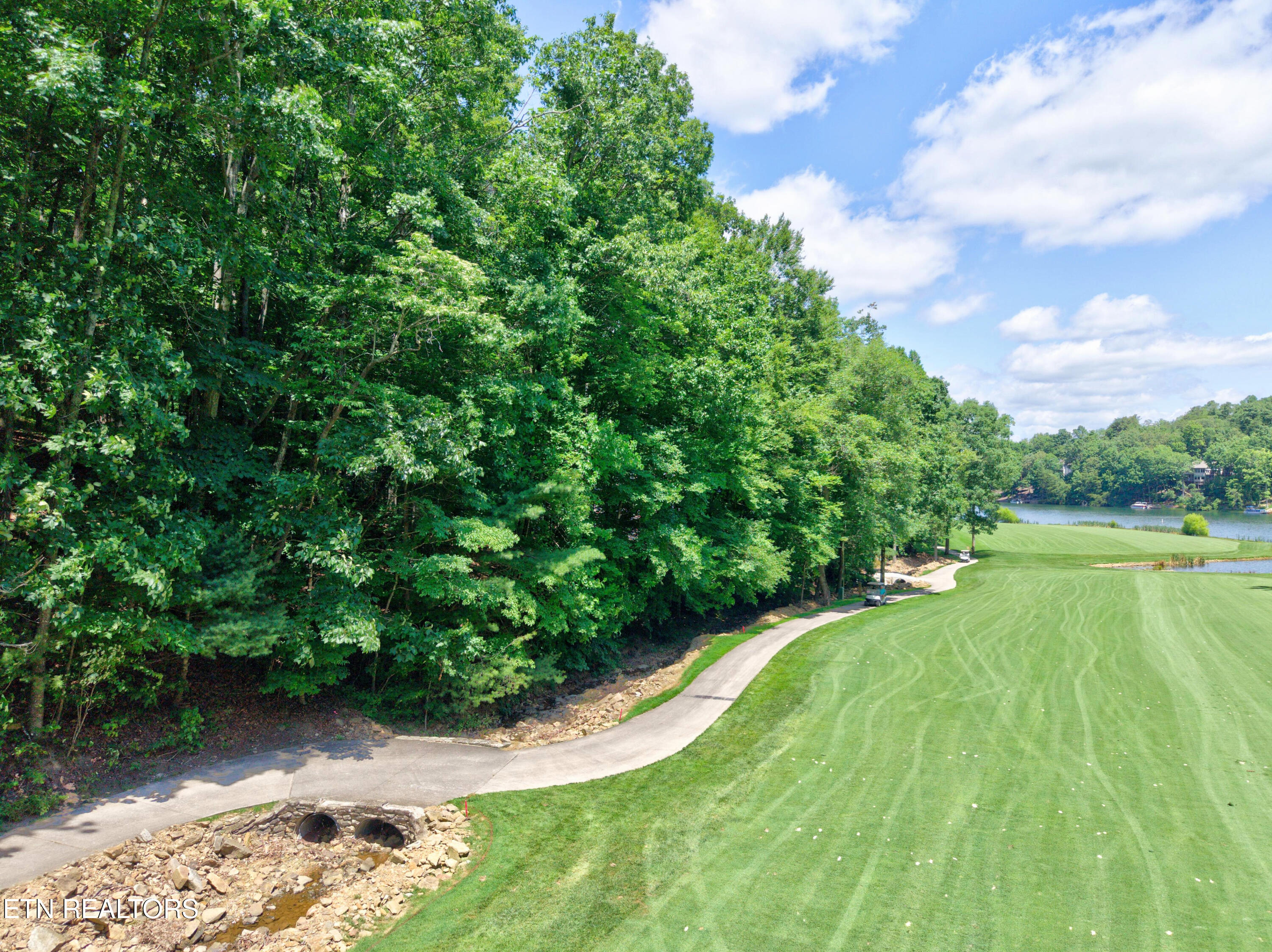 Land in Crossville 2