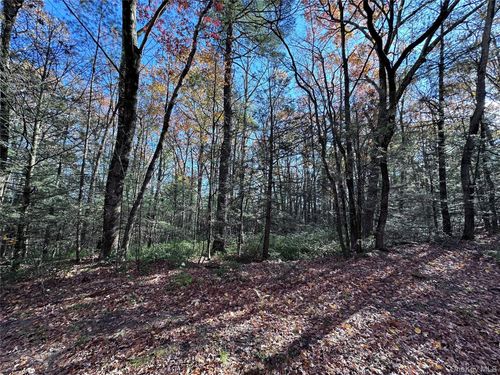 Lot 2 Upper Cherrytown Rd, Kerhonkson, NY, 12446-1810 | Card Image