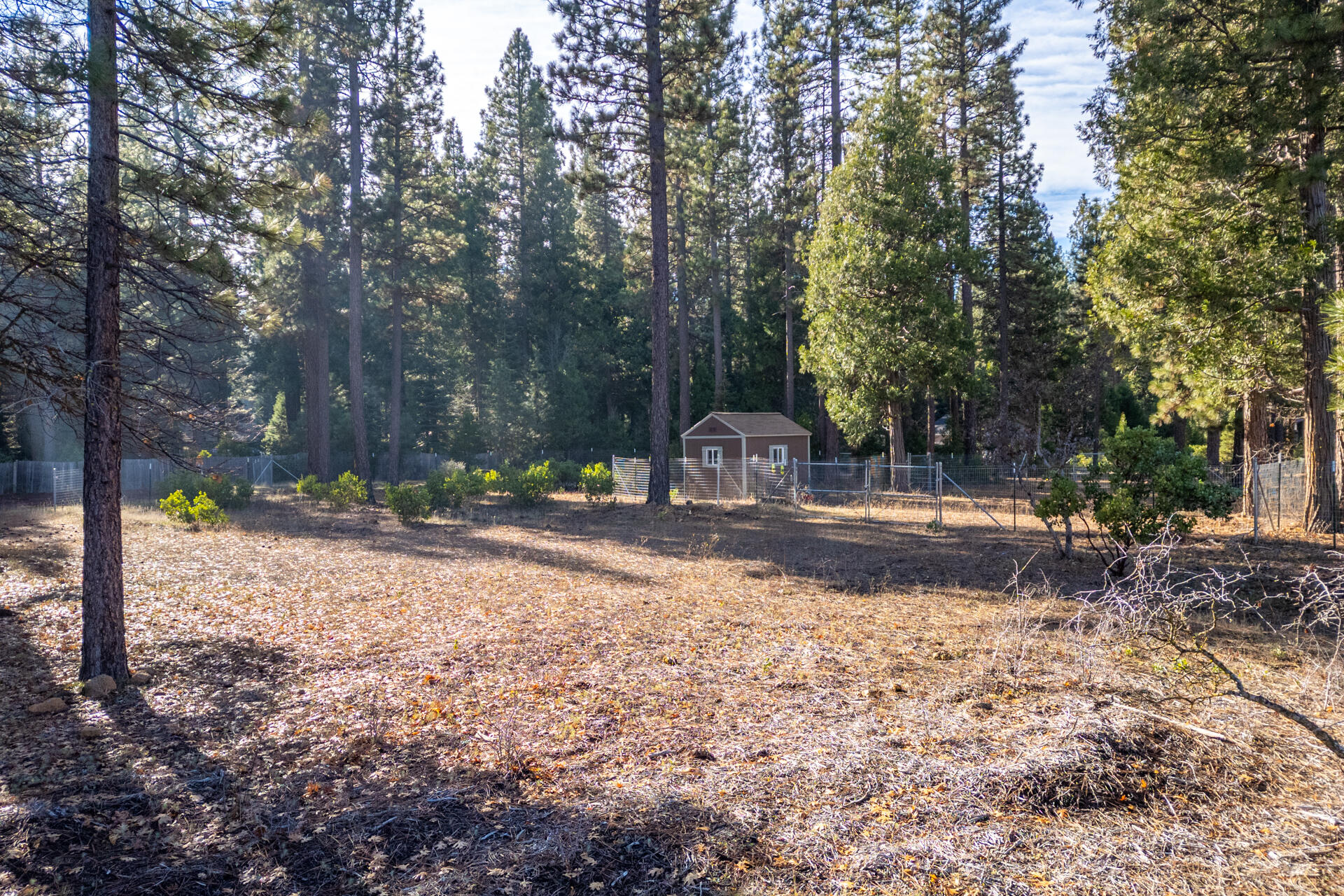 Land in Burney 4