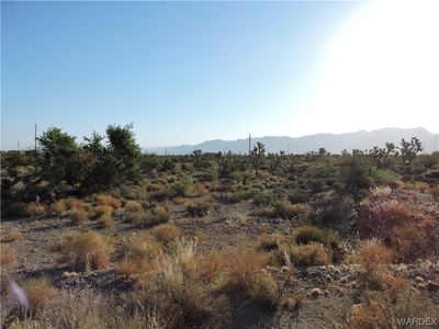 View of local wilderness with a mountain view | Image 2