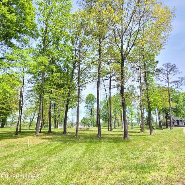 36 Water View Ln, Home with 0 bedrooms, 0 bathrooms and null parking in Dandridge TN | Image 5