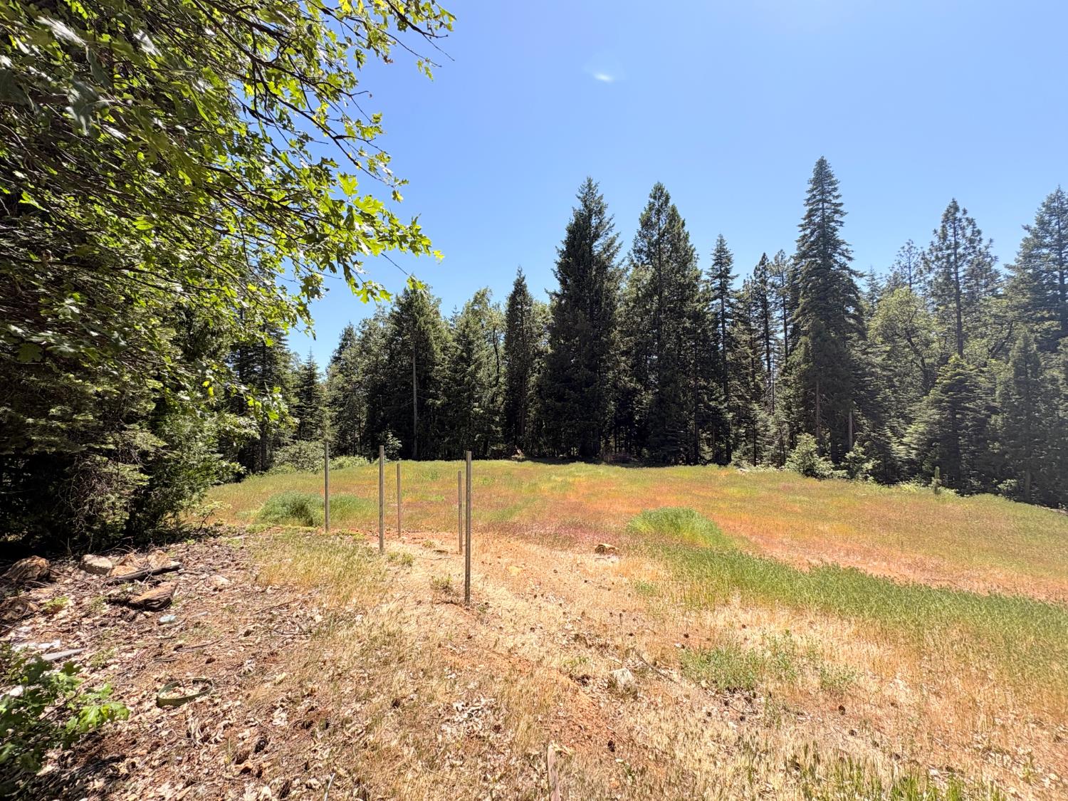 Land in Nevada City