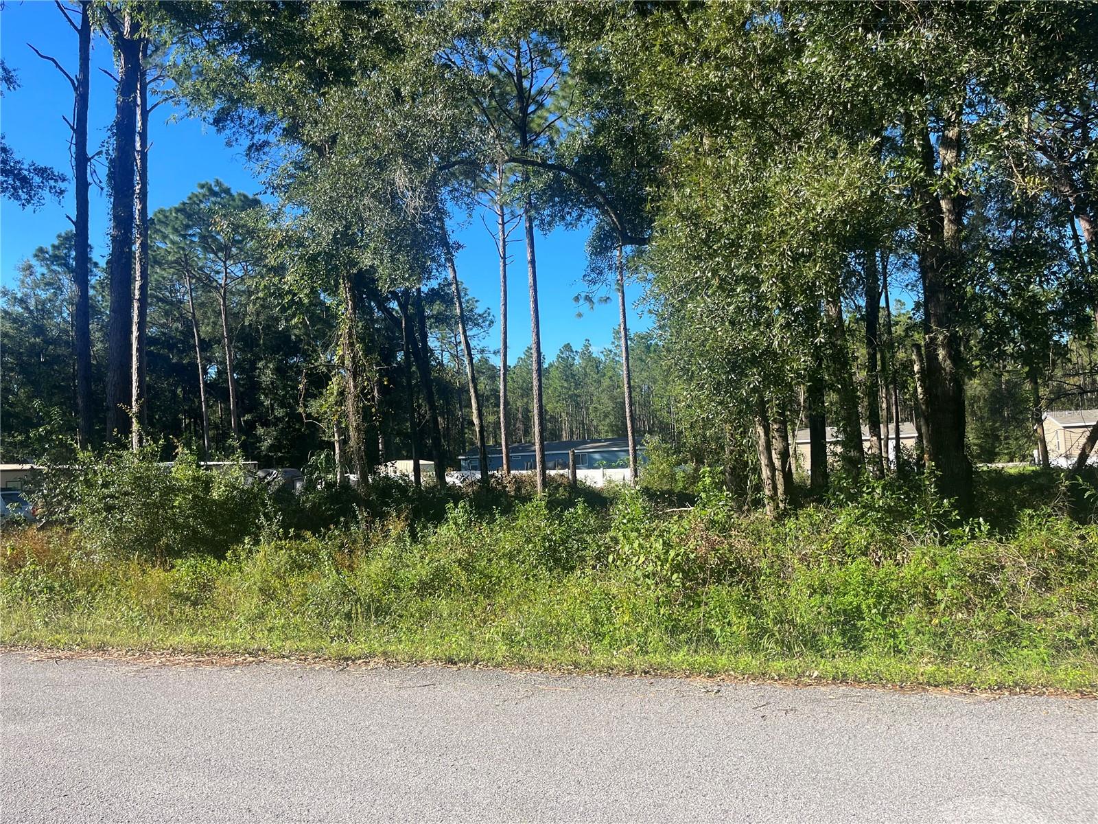 Land in OCALA