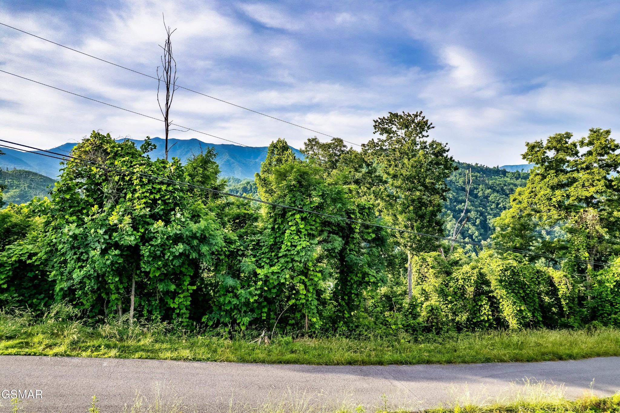 Land in Gatlinburg 2