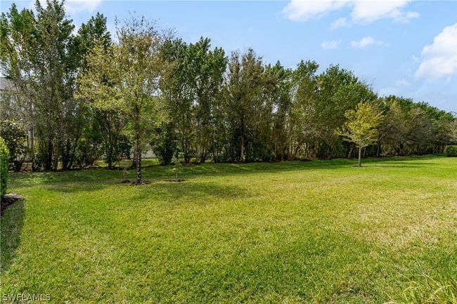 View of yard | Image 35