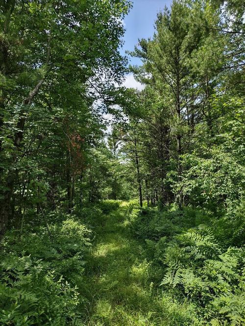 8976 Flood Rd, Black River Falls, WI, 54615-5355 | Card Image