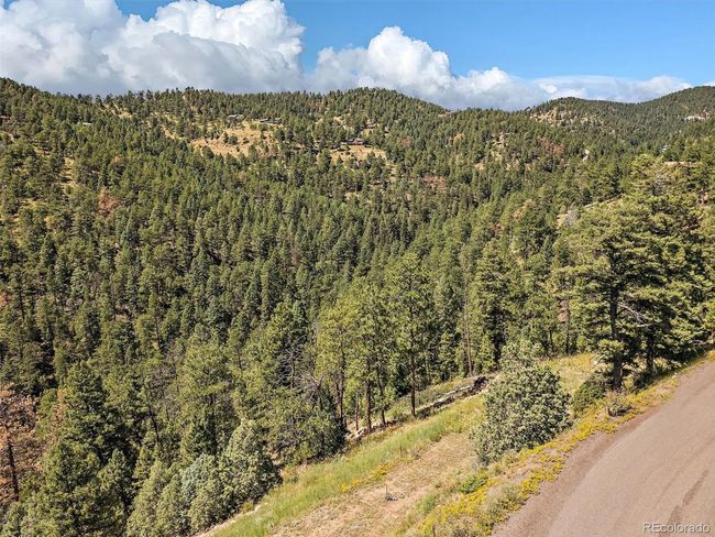 13809 Elsie Rd, Home with 0 bedrooms, 0 bathrooms and null parking in Conifer CO | Image 4