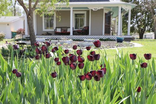 715 10th St, Milford, IA, 51351-1520 | Card Image