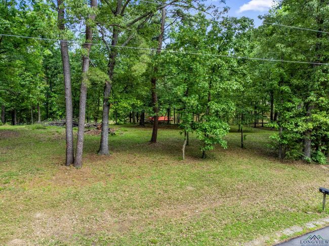 255 Spring Creek Dr, Home with 0 bedrooms, 0 bathrooms and null parking in Mt Vernon TX | Image 9