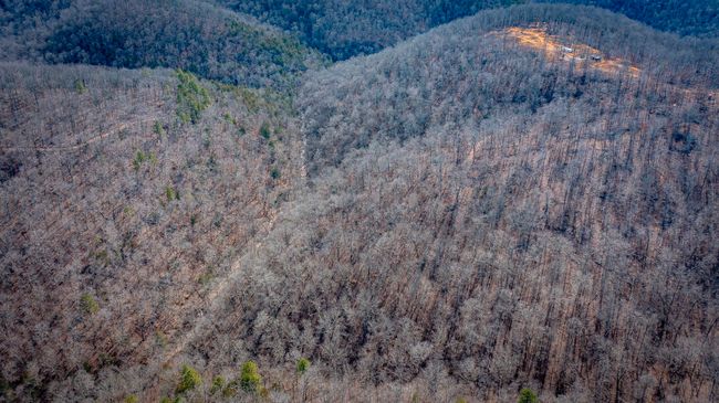 00 Bear Skin Dr, Home with 0 bedrooms, 0 bathrooms and null parking in Harriet AR | Image 36