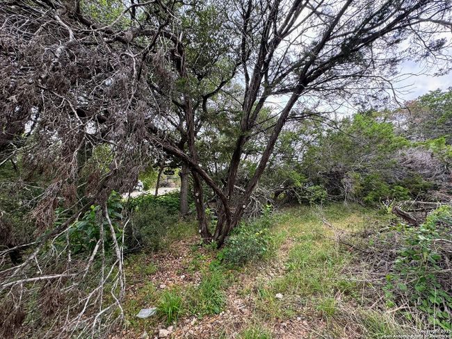 1107 High Point Ln, Home with 0 bedrooms, 0 bathrooms and null parking in Spring Branch TX | Image 4