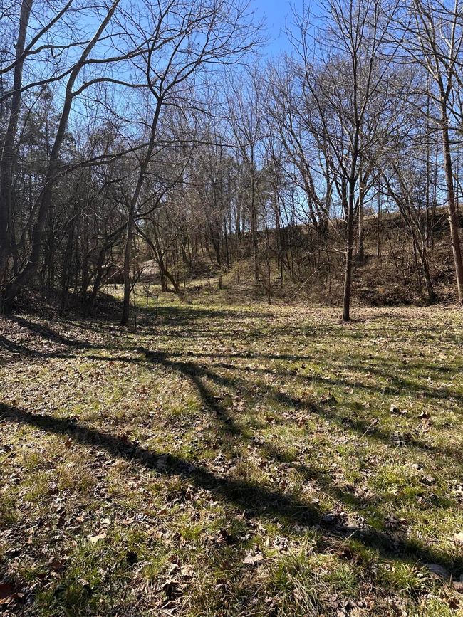 265 - 24265 S Mohawk Rd, Home with 0 bedrooms, 0 bathrooms and null parking in Mohawk TN | Image 43