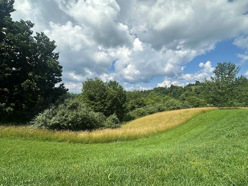 TBD York Ridge Rd, Mouth of Wilson, VA, 24363 | Card Image