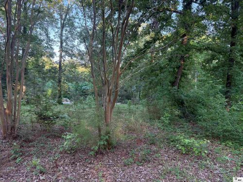 138 Buck Dr, Downsville, LA, 71234-5202 | Card Image