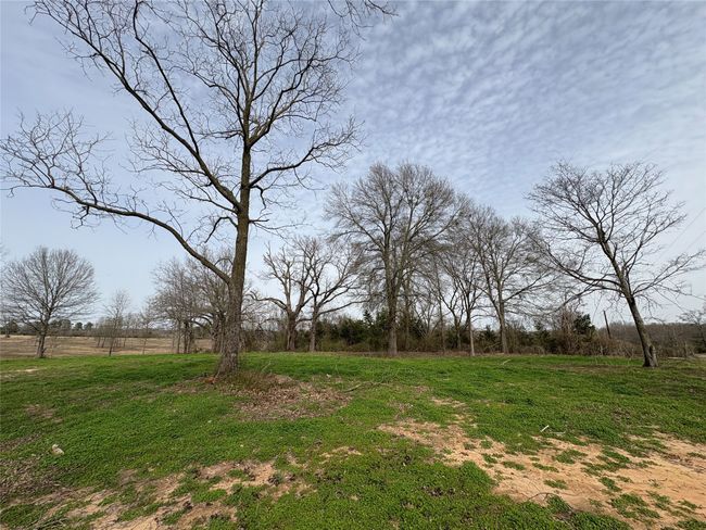 TRACT-0 - TBD County Road 2425, Home with 0 bedrooms, 0 bathrooms and null parking in Como TX | Image 20
