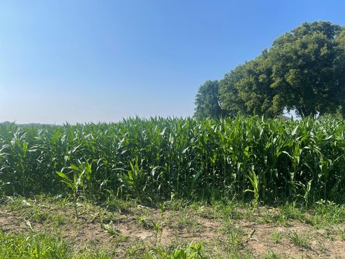 XXX 590th St, Bay City, WI, 54723 | Card Image