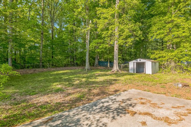 Backyard | Image 16
