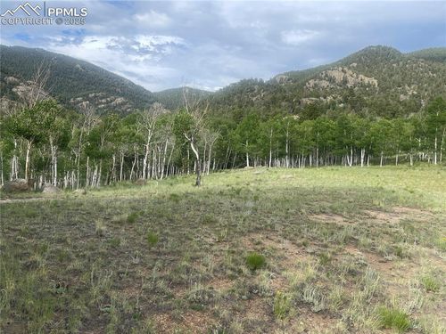 171 Emerald Way, Lake George, CO, 80827-9724 | Card Image