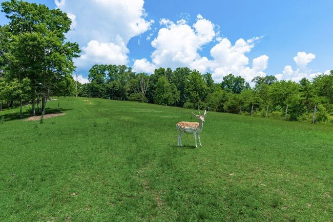 58501 Us Highway 50, Home with 0 bedrooms, 0 bathrooms and null parking in Mc Arthur OH | Image 39