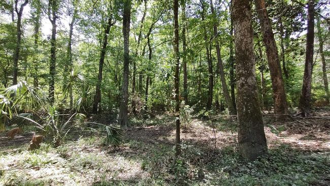 110 Rosenbaum Dr, House other with 2 bedrooms, 1 bathrooms and null parking in Poplarville MS | Image 39