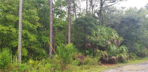 1179 N Tessa Ter, Crystal River, FL, 34429-7750 | Card Image