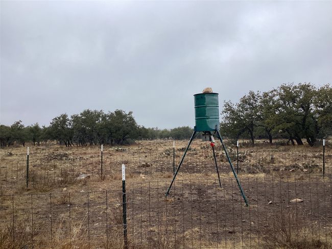 View of feeder with a rural view | Image 4