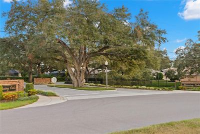 1596 Canopy Oaks Boulevard, House other with 4 bedrooms, 4 bathrooms and null parking in Palm Harbor FL | Image 2