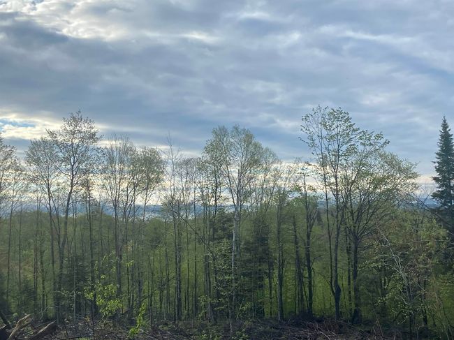 1180 Abbott Hill Rd, Home with 0 bedrooms, 0 bathrooms and null parking in West Burke VT | Image 28