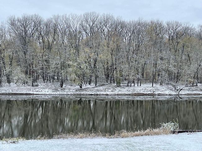 view of yard with a wooded view and a water view | Image 68