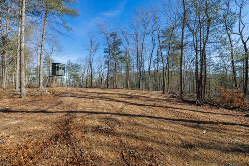 24.97 ac Stribling Springs Rd, MOUNT SOLON, VA, 22843 | Card Image