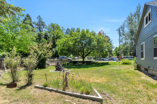 View of yard | Image 19