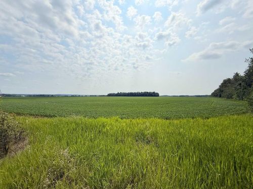 Lot 1 Township Road 663, Rural Athabasca County, AB, T9S1L4 | Card Image
