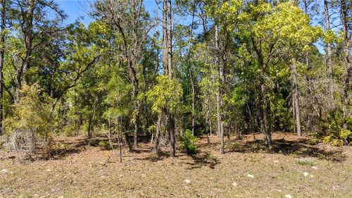 0 Sw 97th Pl, DUNNELLON, FL, 34432 | Card Image