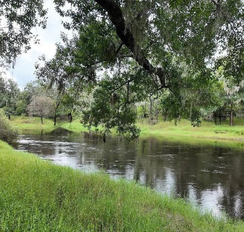 1111 Ne Hodent Rd, Arcadia, FL, 34266-5228 | Card Image