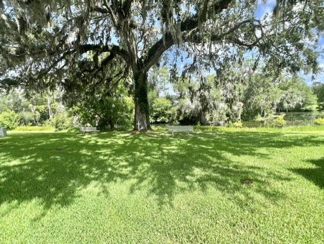 105 Avocado Cv, House other with 2 bedrooms, 2 bathrooms and null parking in LEESBURG FL | Image 32