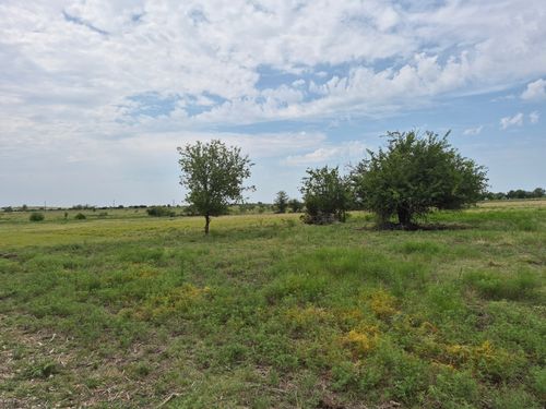 LOT 38 Pr 4311, Jonesboro, TX, 76538 | Card Image