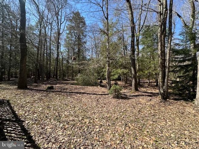 73 Driftwood Dr, House other with 3 bedrooms, 3 bathrooms and null parking in Albrightsville PA | Image 24