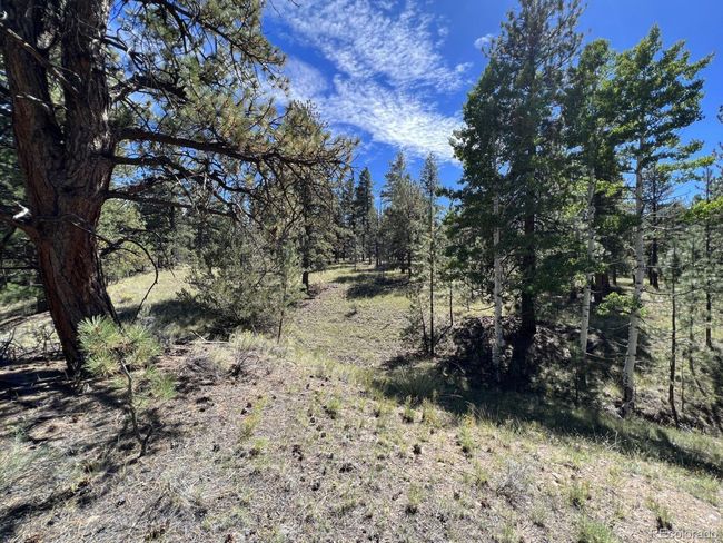 82 Kiowa Cir, Home with 0 bedrooms, 0 bathrooms and null parking in Westcliffe CO | Image 16