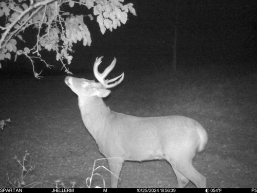 000 S Steele Rd, HANOVER, IL, 61041 | Card Image