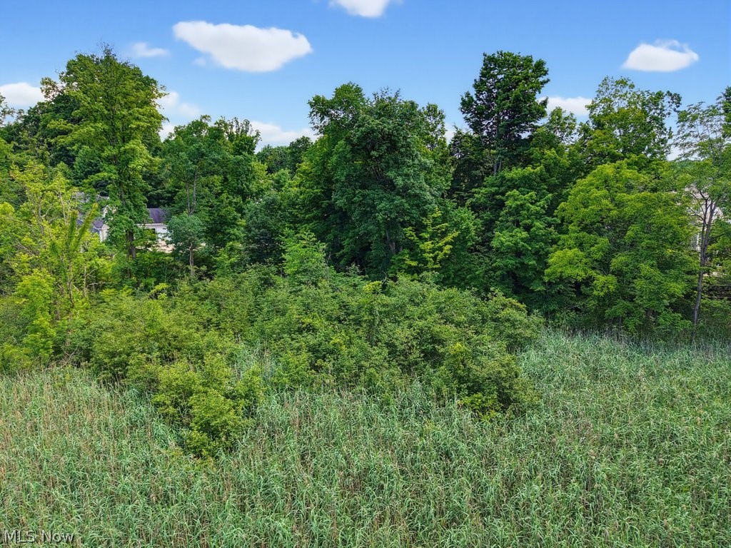 Land in Streetsboro 2