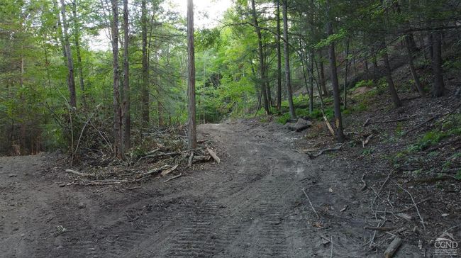 15 Gorge Rd, Home with 0 bedrooms, 0 bathrooms and null parking in Middleburgh NY | Image 22