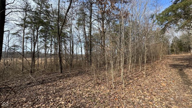 0 County Rd 575 S 1600 W, Home with 0 bedrooms, 0 bathrooms and null parking in Sandborn IN | Image 27