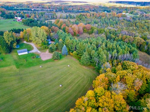 3193 Old M94 Road, Chatham, MI, 49816 | Card Image