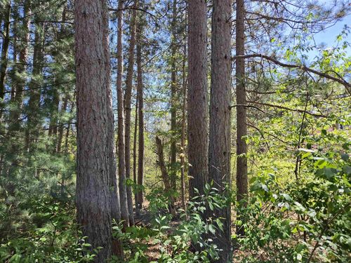 Lot 204 Raven Dr, New Lisbon, WI, 53950 | Card Image