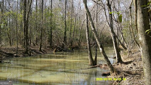0 Elko Rd, Unadilla, GA, 31091 | Card Image