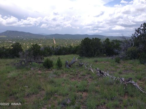 48 Hillcrest, Concho, AZ, 85924 | Card Image