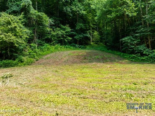 TBD Carrs Creek Rd, Townsend, TN, 37882 | Card Image