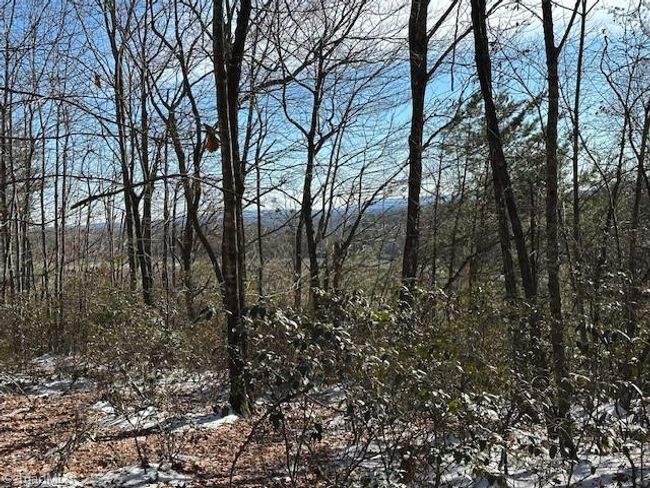 0 Old Railroad Grade Rd, Home with 0 bedrooms, 0 bathrooms and null parking in Thurmond NC | Image 7