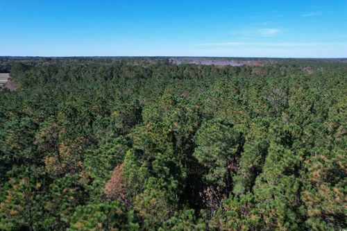 7 Puncheon Creek Dr., Andrews, SC, 29510 | Card Image