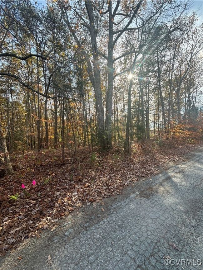 0 Broad Street Rd, Home with 0 bedrooms, 0 bathrooms and null parking in Gum Spring VA | Image 6